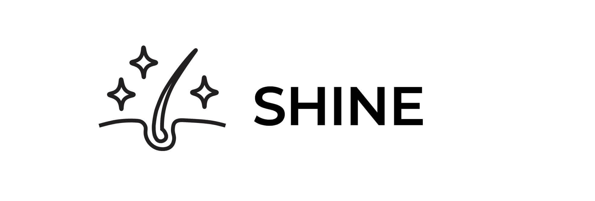 Image-caroussel-shine-v2-kostume-website